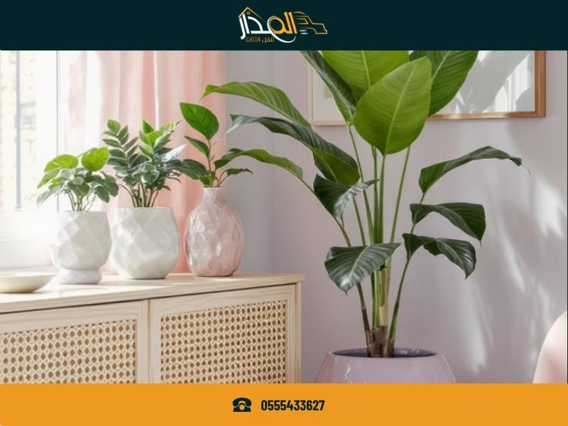 شركة نقل عفش بالحناكية